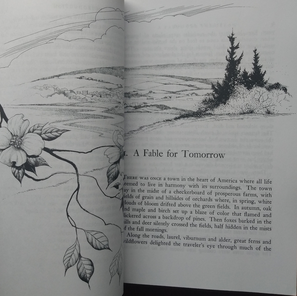 Silent Spring by Rachel Carson - Picture 3 of 4